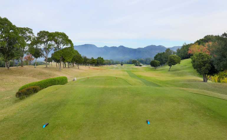 ゴルフ場 コース