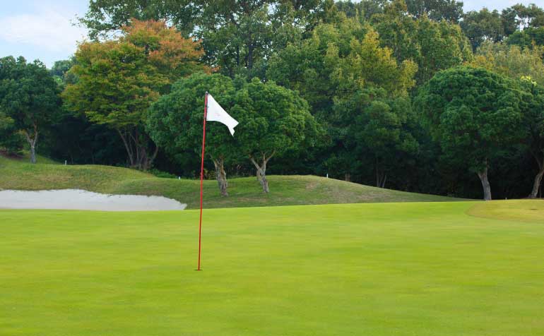 ゴルフ場 コース