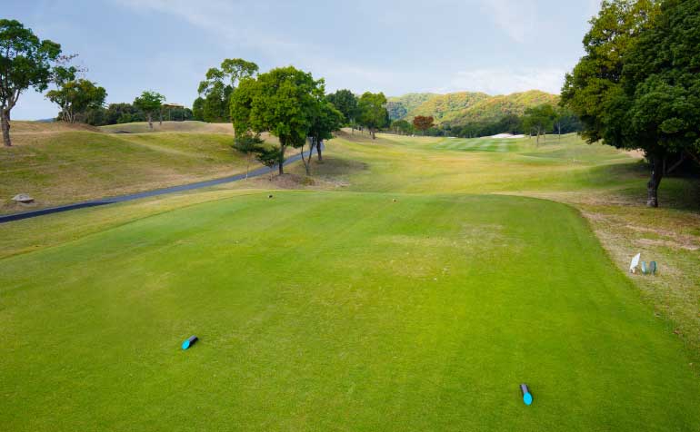 ゴルフ場 コース