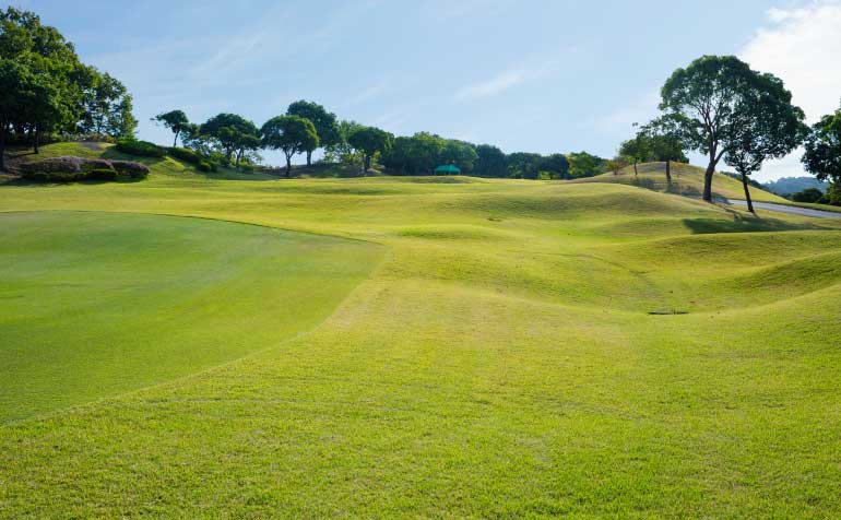 ゴルフ場 コース