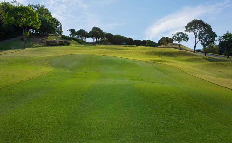 ゴルフ場 コース