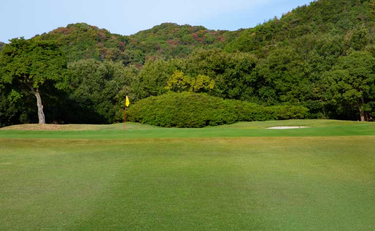 ゴルフ場 コース
