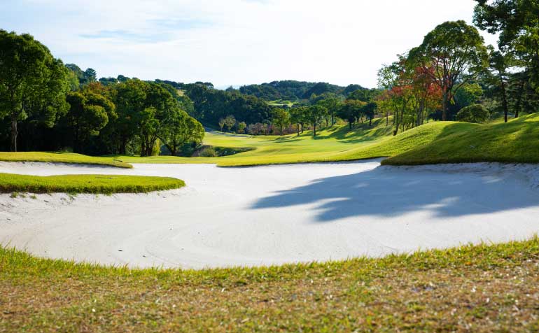 ゴルフ場 コース