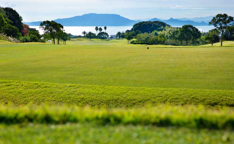 ゴルフ場 コース