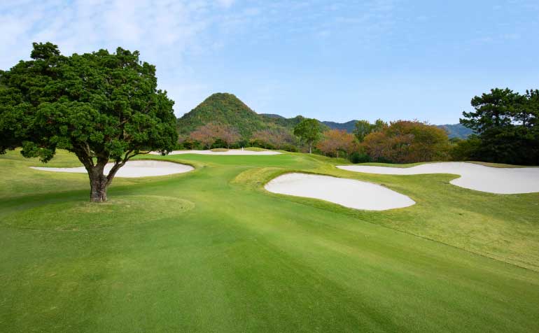 ゴルフ場 コース