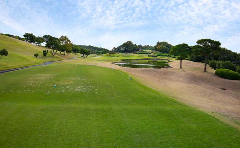 ゴルフ場 コース