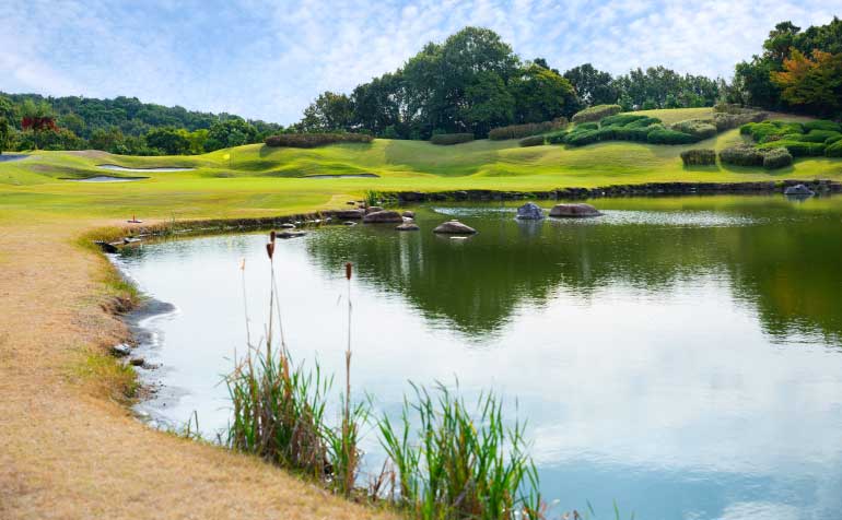 ゴルフ場 コース