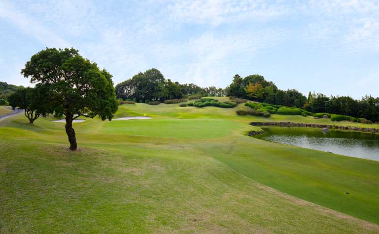 ゴルフ場 コース