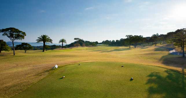 ゴルフ場 コース