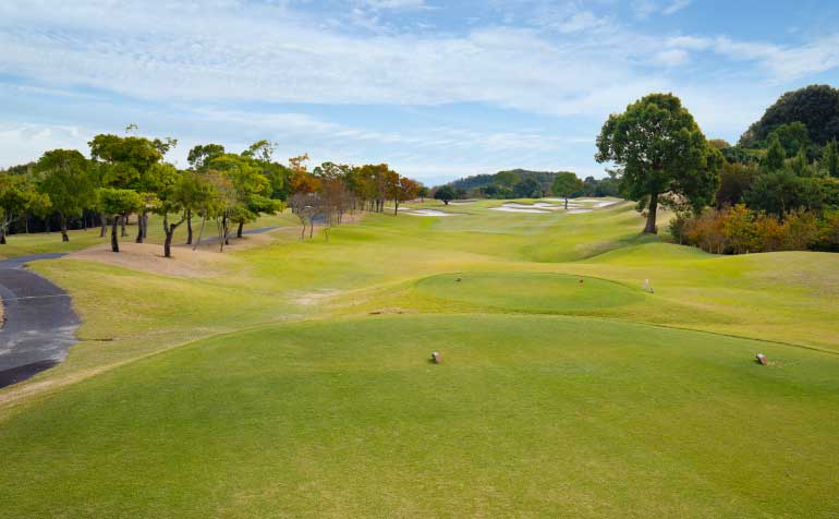 ゴルフ場 コース