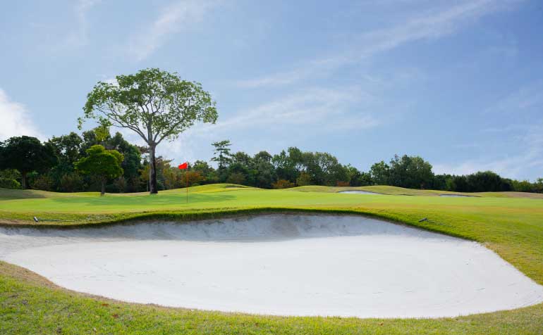 ゴルフ場 コース