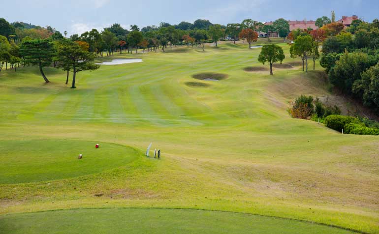 ゴルフ場 コース