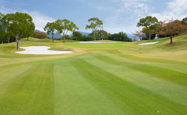 ゴルフ場 コース
