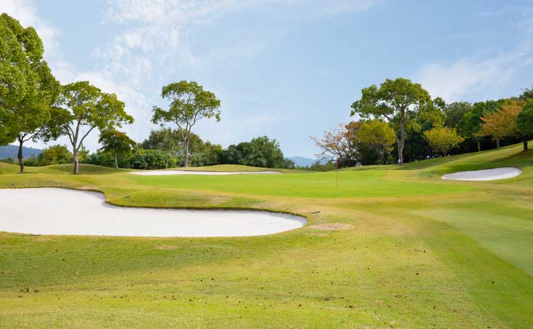 ゴルフ場 コース