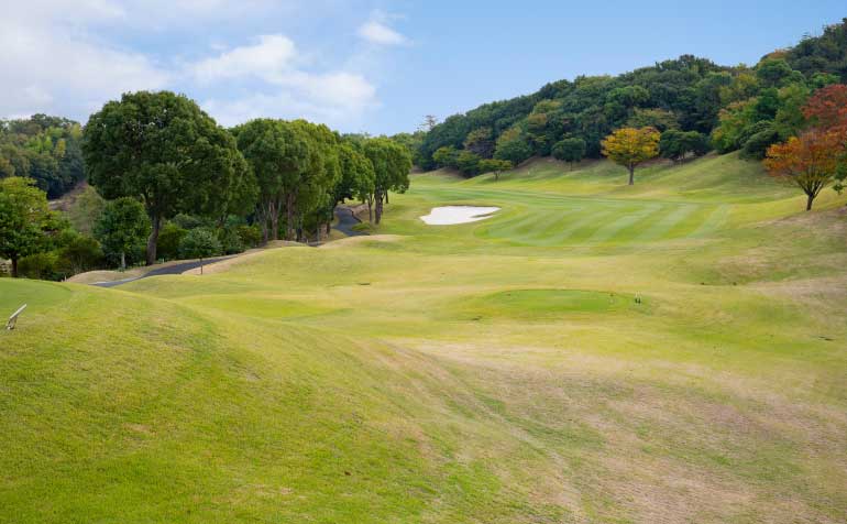 ゴルフ場 コース