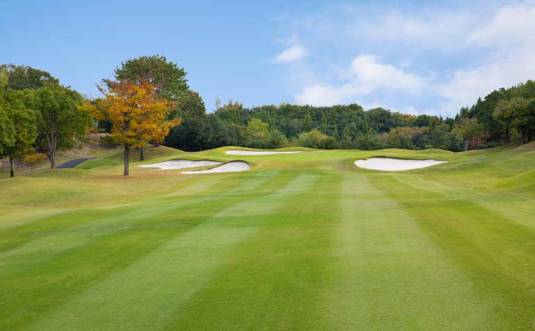 ゴルフ場 コース