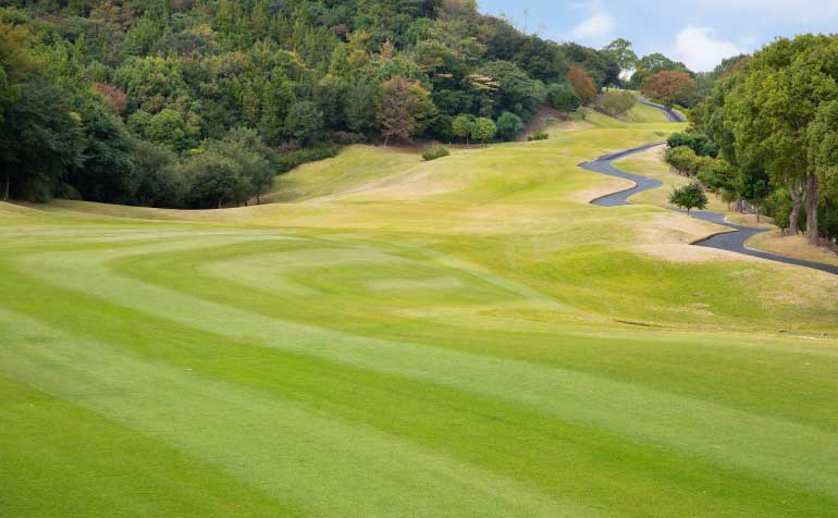 ゴルフ場 コース