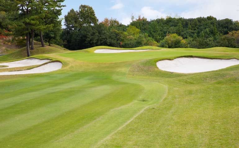 ゴルフ場 コース