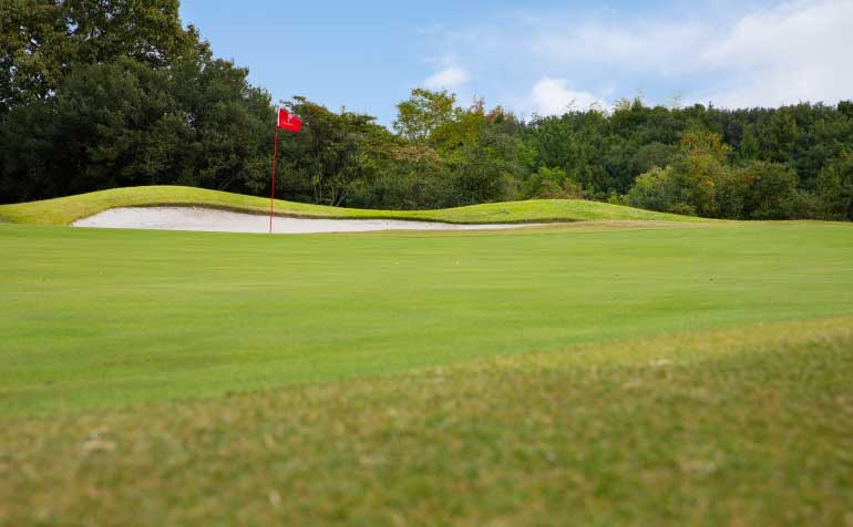 ゴルフ場 コース