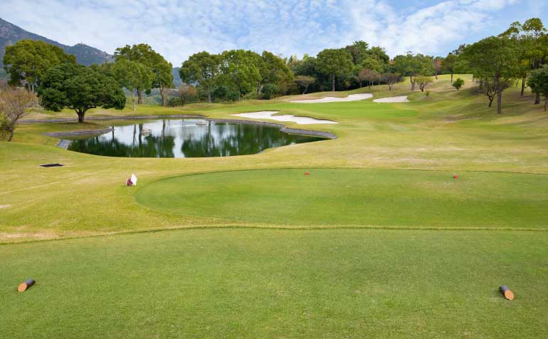 ゴルフ場 コース