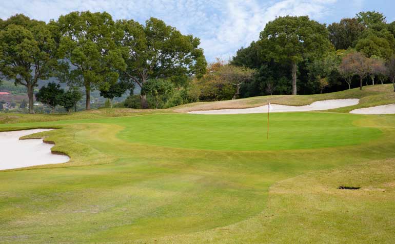 ゴルフ場 コース