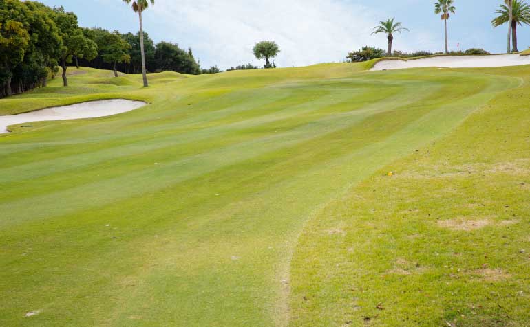 ゴルフ場 コース