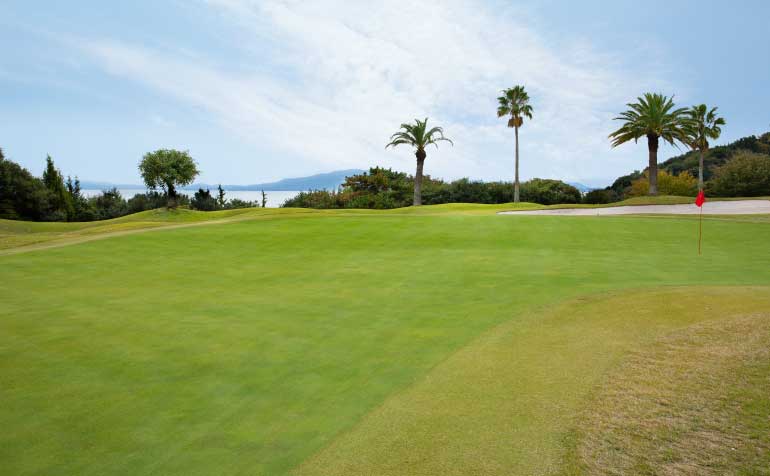 ゴルフ場 コース