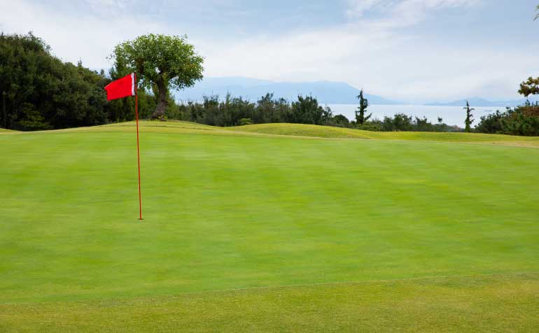 ゴルフ場 コース