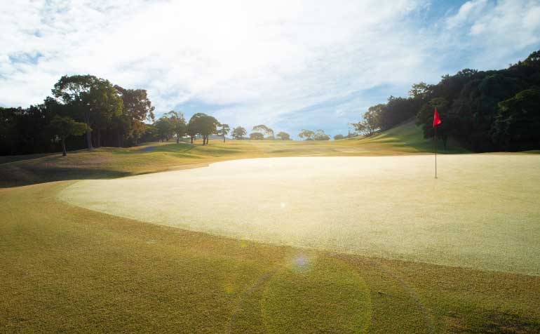 ゴルフ場 コース