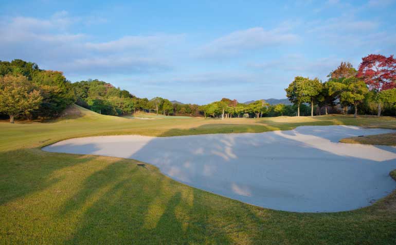 ゴルフ場 コース