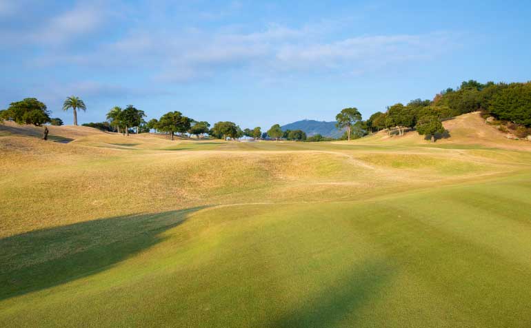 ゴルフ場 コース