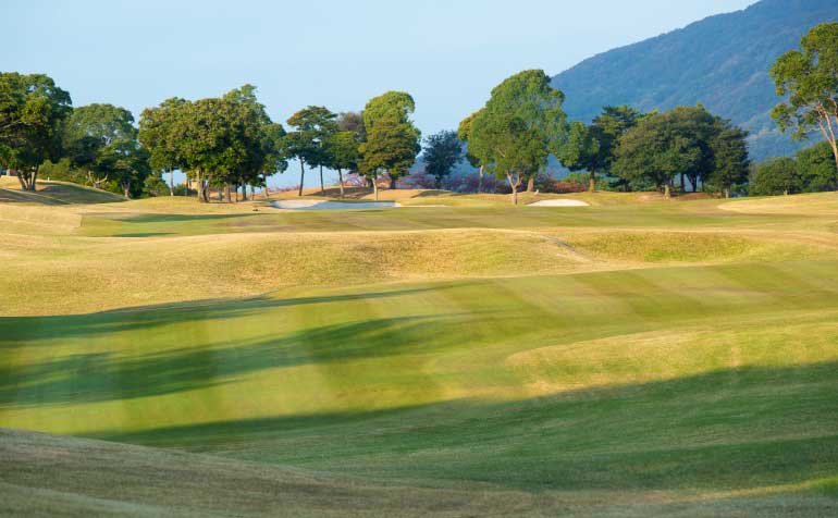 ゴルフ場 コース