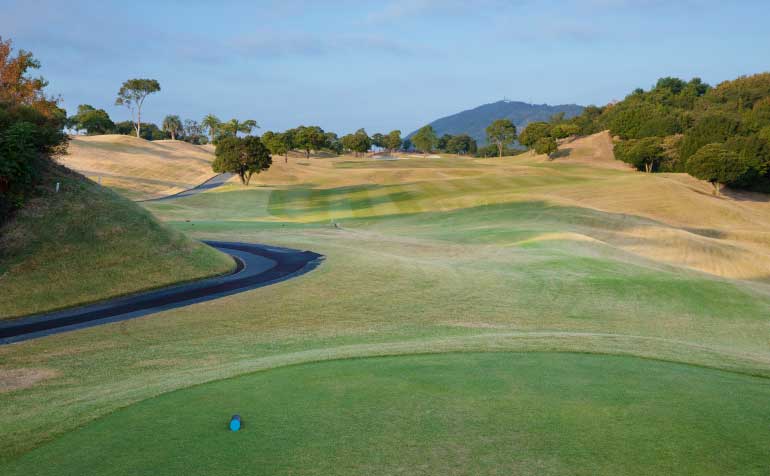 ゴルフ場 コース