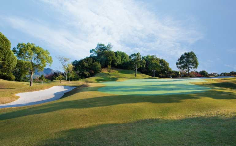 ゴルフ場 コース