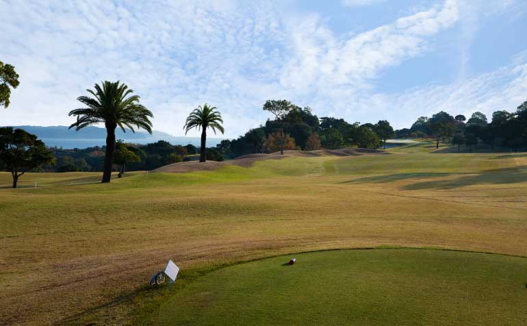 ゴルフ場 コース