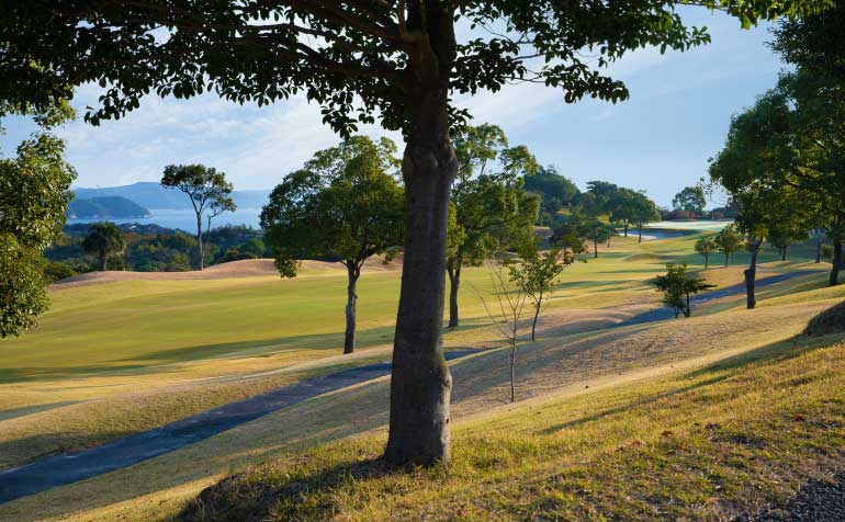 ゴルフ場 コース