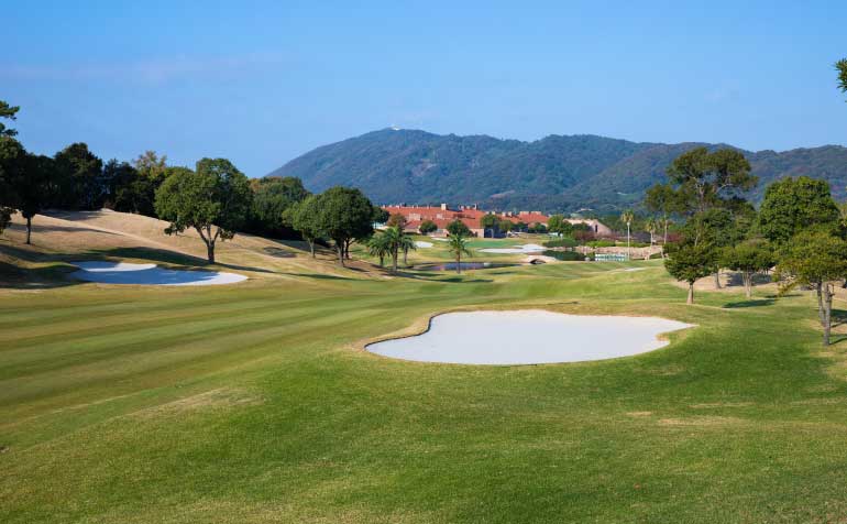 ゴルフ場 コース